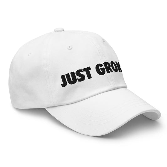 Image of the JUST GROK IT. Cap 2.