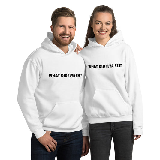 Image of the WHAT DID ILYA SEE? Hoodie (unisex).