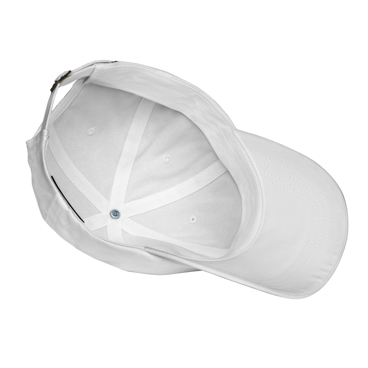 Image of the 2018-2024 OpenAI Cap.