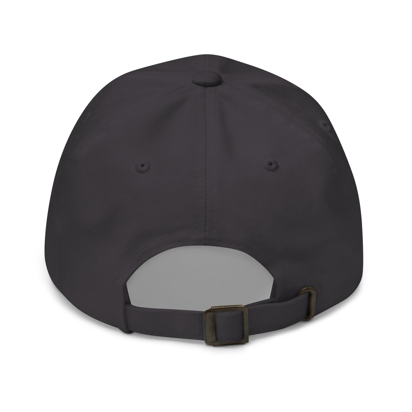 Image of the AI Gray Logo Cap.