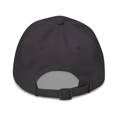 Image of the AI Gray Logo Cap.