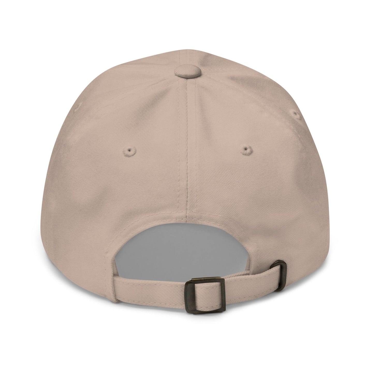 Image of the AI Gray Logo Cap.