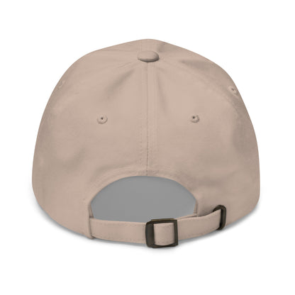Image of the AI Gray Logo Cap.