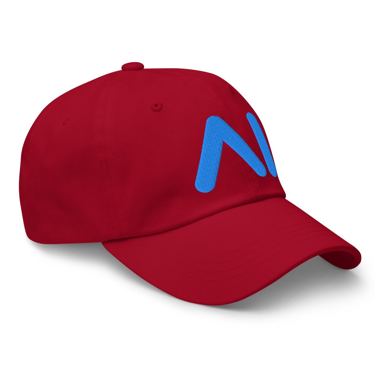 Image of the AI Light Blue Logo Cap.