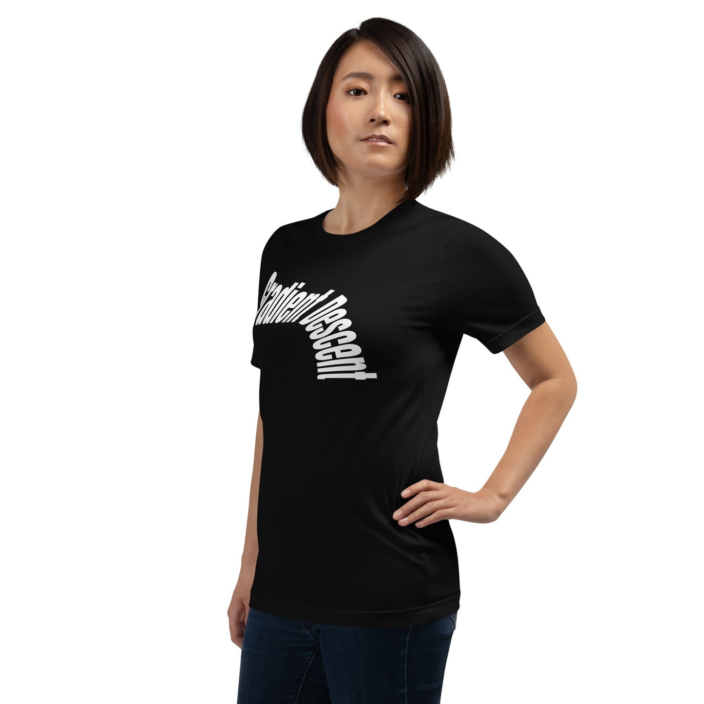Image of the Distorted Gradient Descent T-Shirt (unisex).