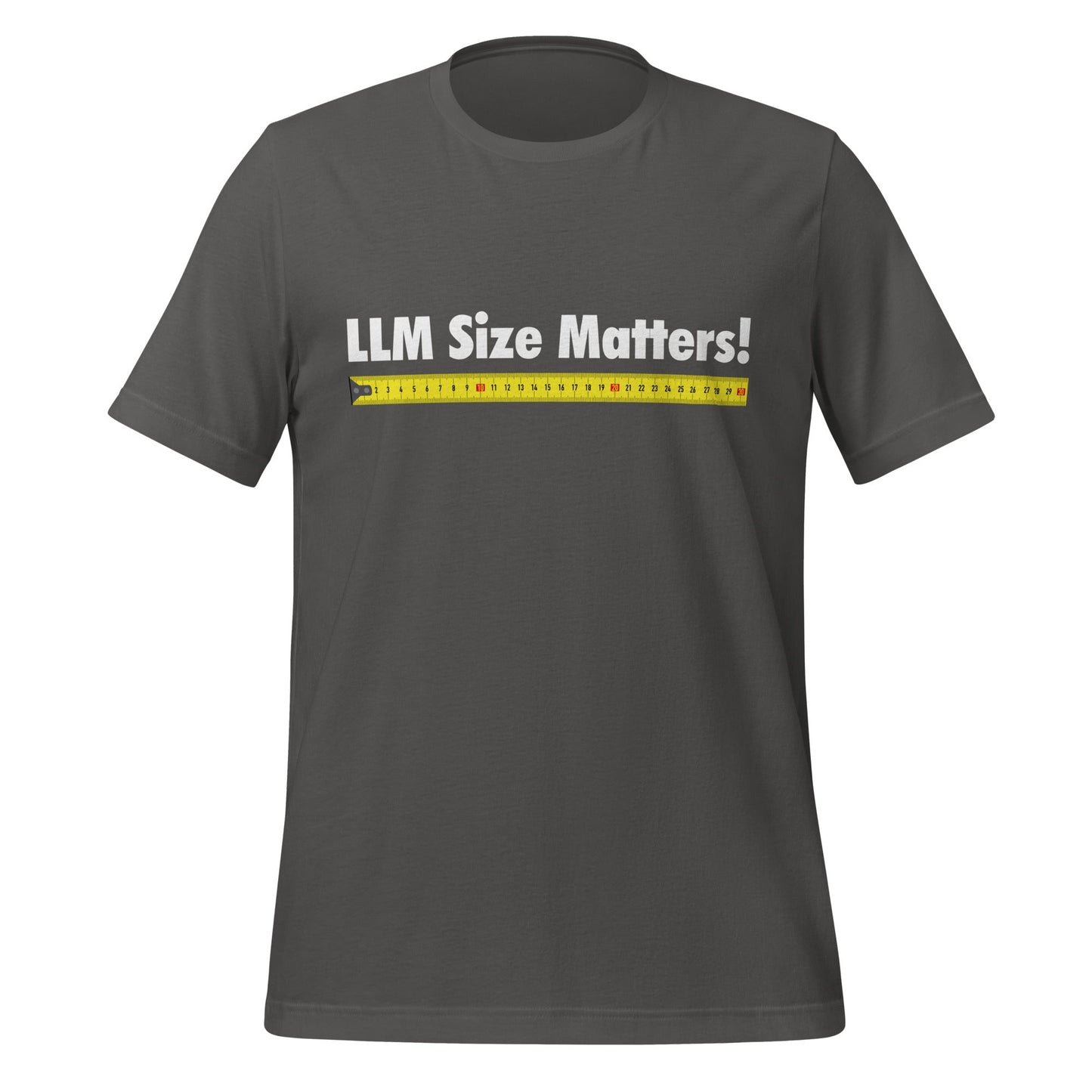 Image of the LLM Size Matters! T-Shirt (unisex) Asphalt / M.
