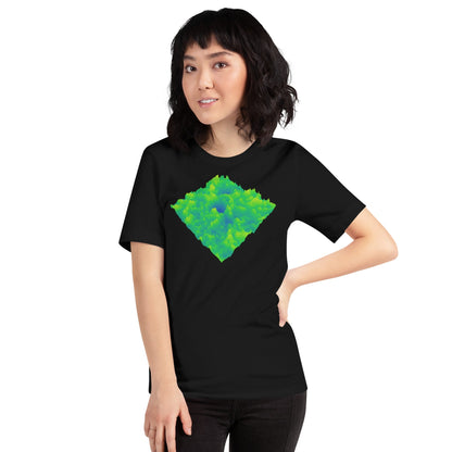 Image of the Loss Landscape T-Shirt (unisex).