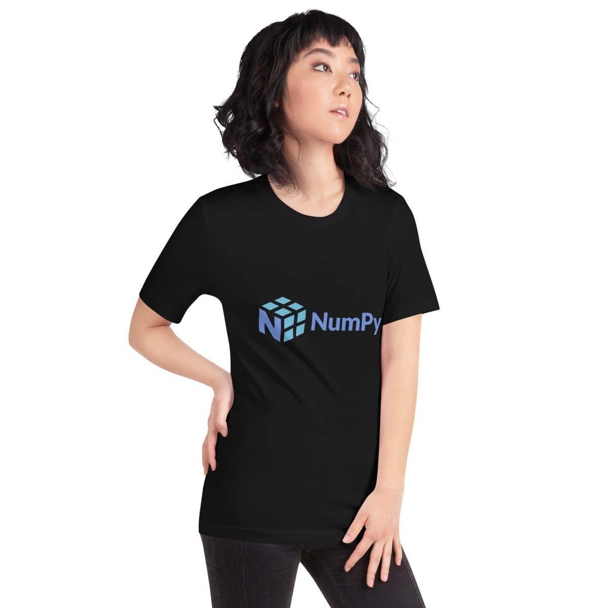 Product mockup photo of the NumPy Logo T Shirt (unisex).