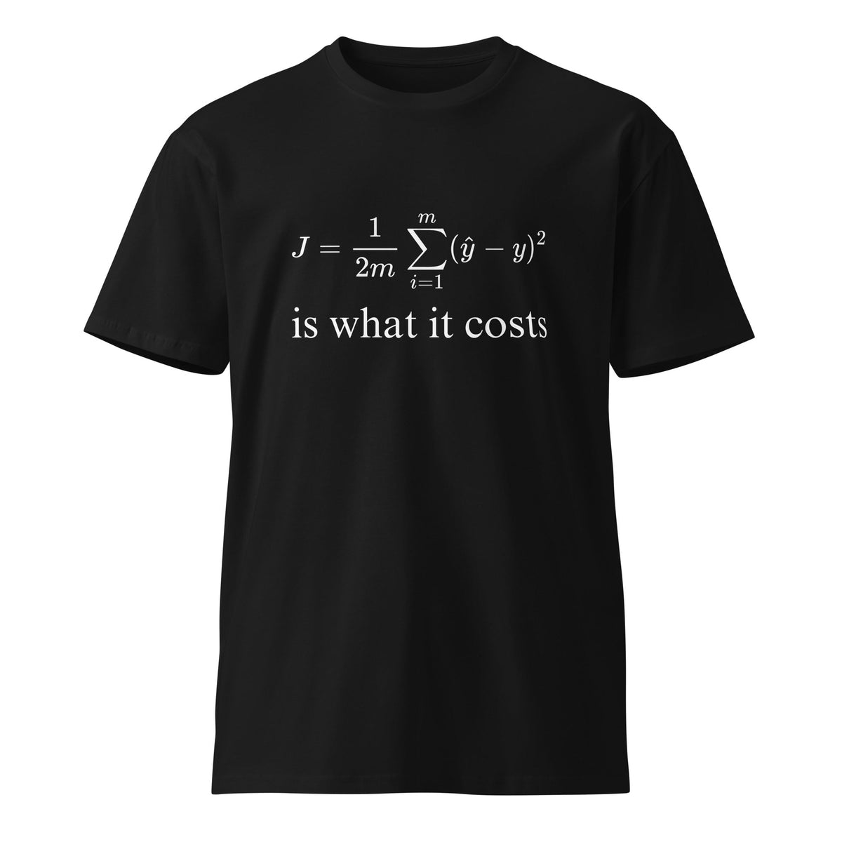 Image of the Premium Cost Function for Linear Regression T-Shirt (unisex) Black / M.
