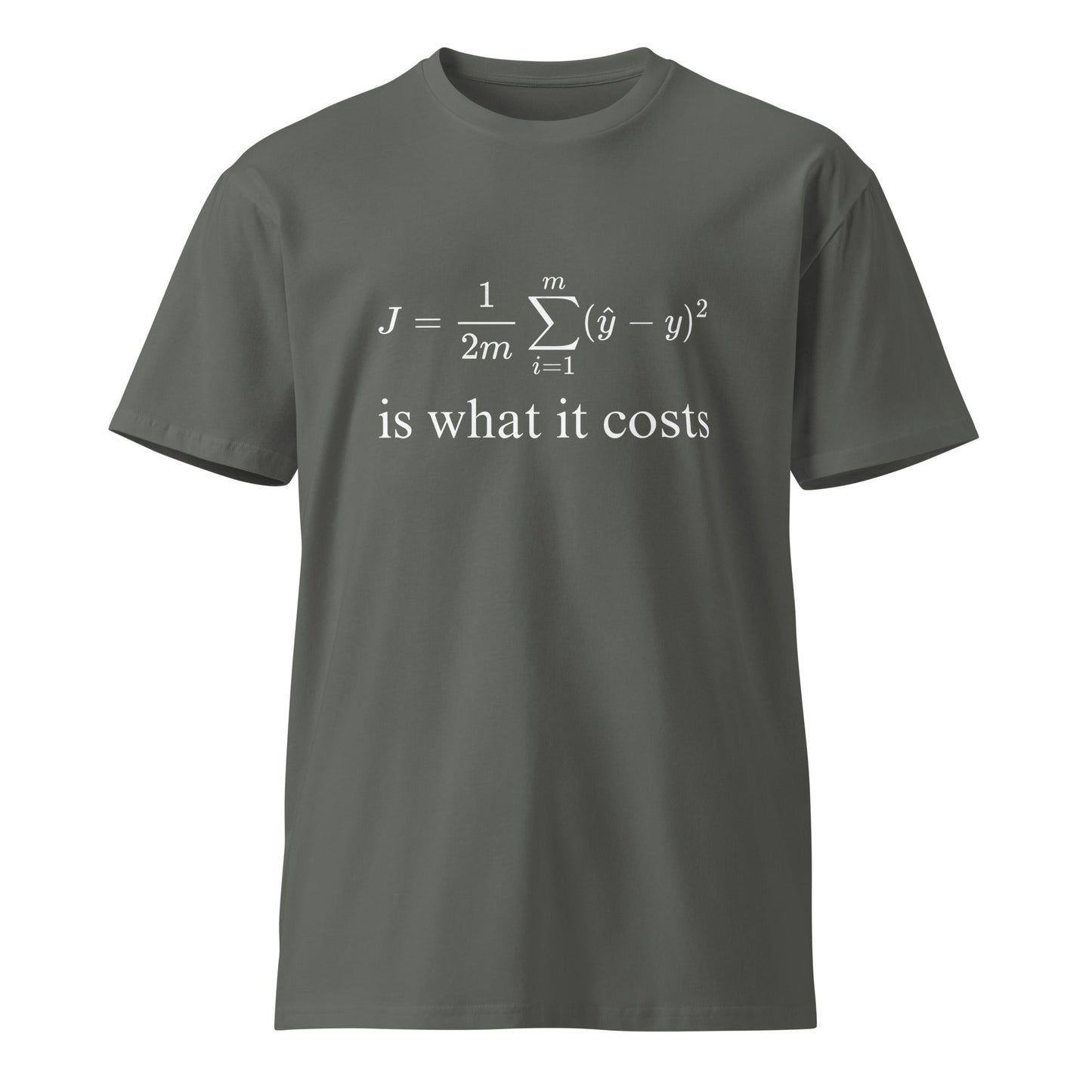 Image of the Premium Cost Function for Linear Regression T-Shirt (unisex) Charcoal / M.