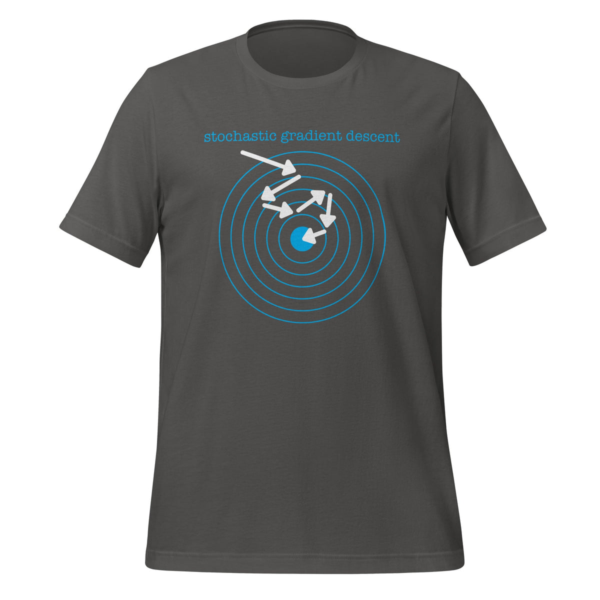 Image of the Stochastic Gradient Descent T-Shirt (unisex) Asphalt / M.
