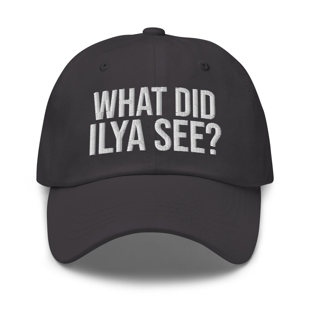 Image of the WHAT DID ILYA SEE? Cap 4 Dark Grey.