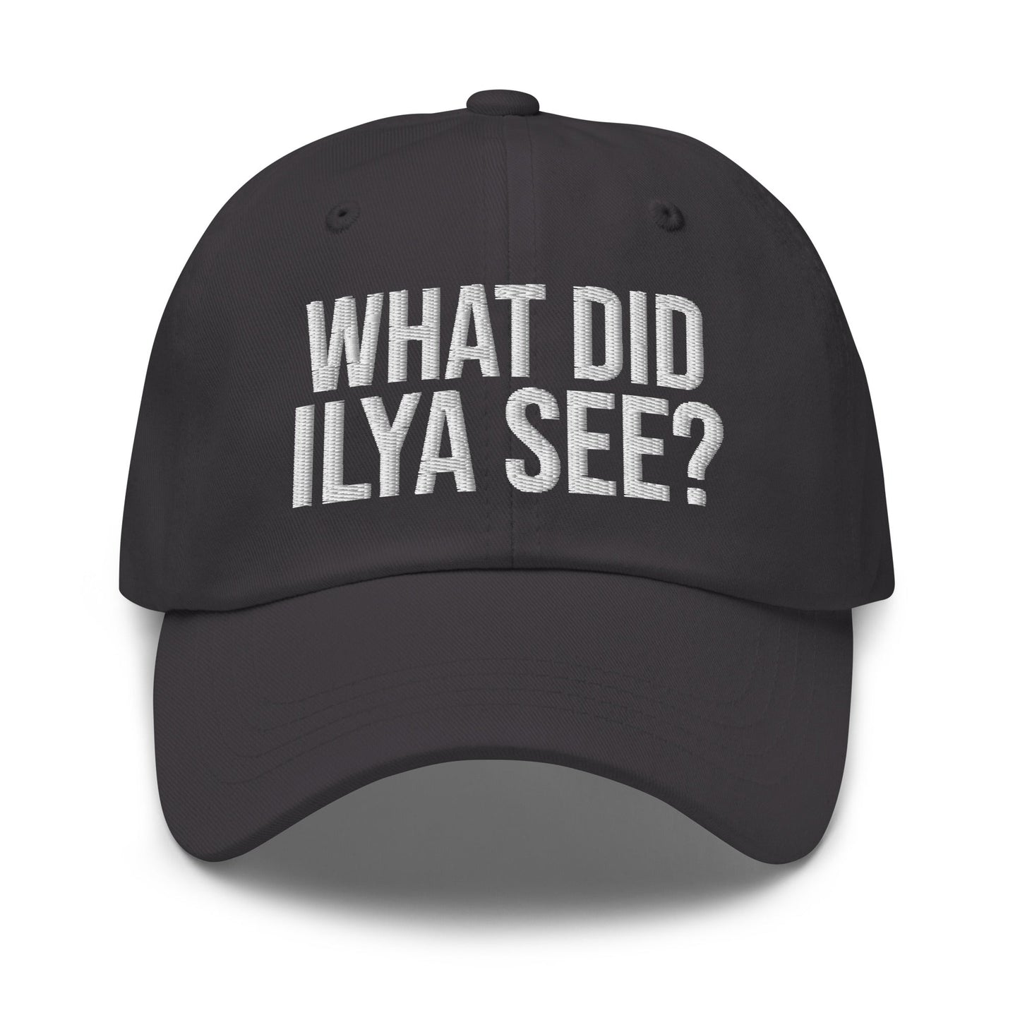 Image of the WHAT DID ILYA SEE? Cap 4 Dark Grey.